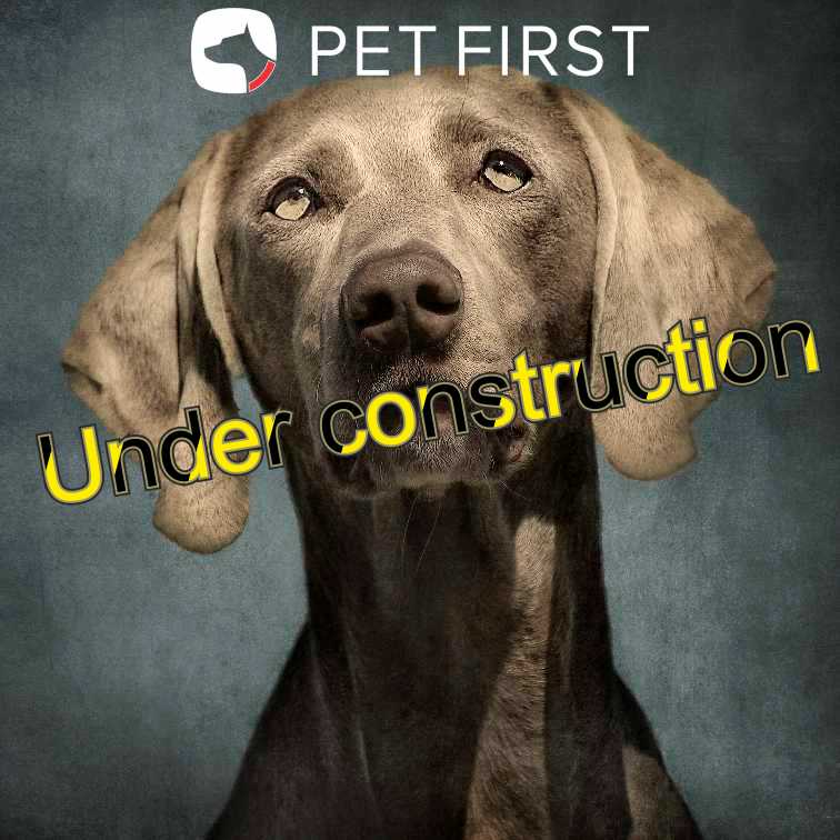 PetFirst img